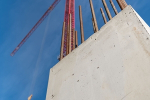 Сентябрь 2024